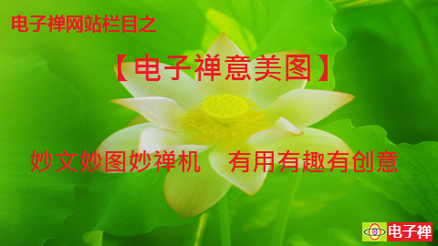 【电子禅意美图】栏目